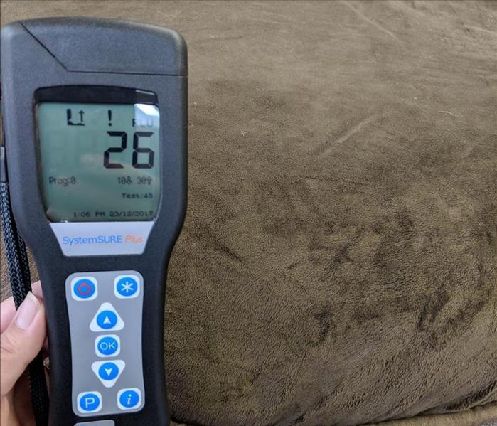 ATP Testing After Pet Bed Restored in Dallas, TX