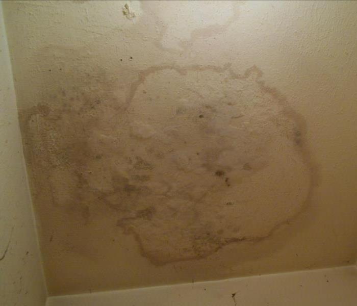 Mold on ceiling of Dallas home