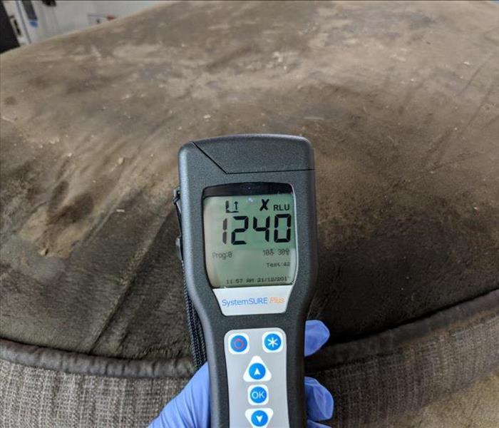 ATP Testing for Water Damage Pet Bed in Dallas TX