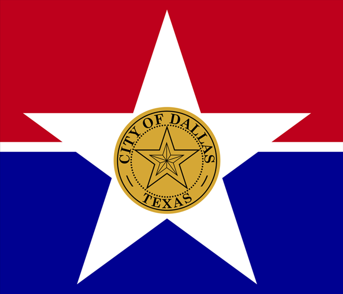 City of Dallas Texas Logo