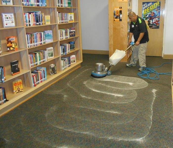 Professional Carpet Cleaning in Dallas, Texas