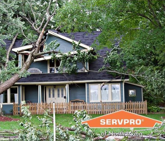 How to Handle Storm Damage Until Professional Help Arrives
