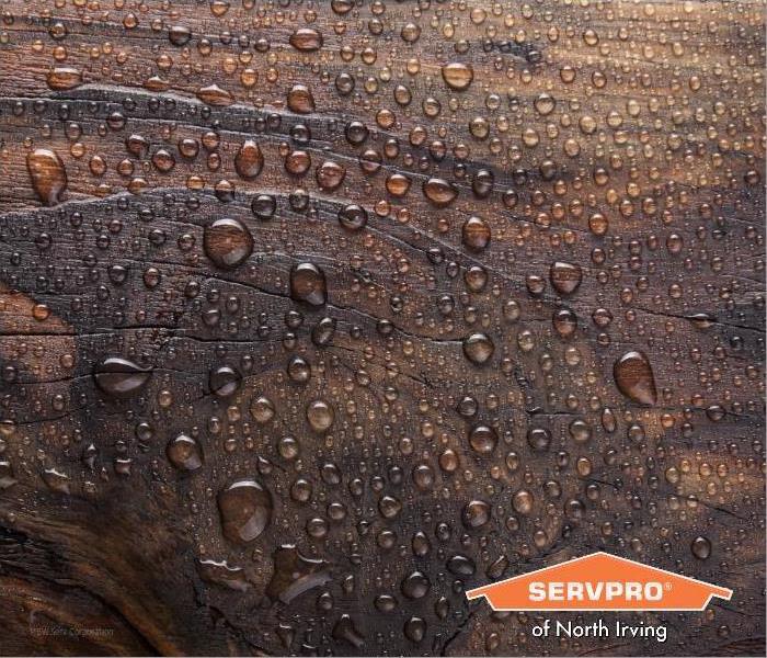 best water resistant woods to prevent water damage - image of wet wood with SERVPRO logo